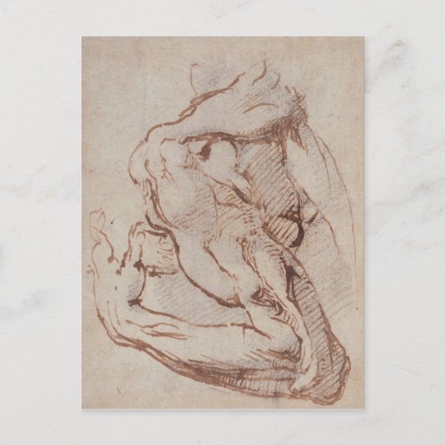 Carte Postale Étude d'un bras Inv.1859/5/14/819 (Devant)