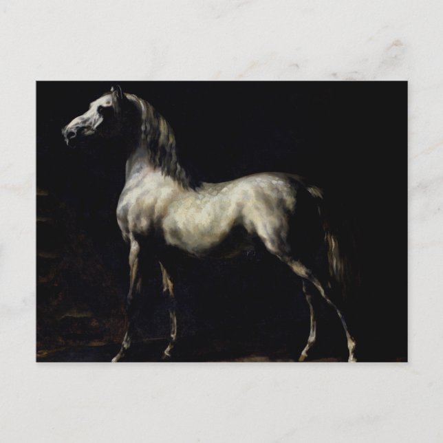 Carte Postale Étude d'un gris pommelé (Devant)