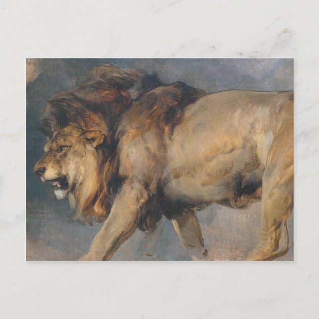 Carte Postale Étude d'un lion (par Edwin Henry Landseer) (Devant)