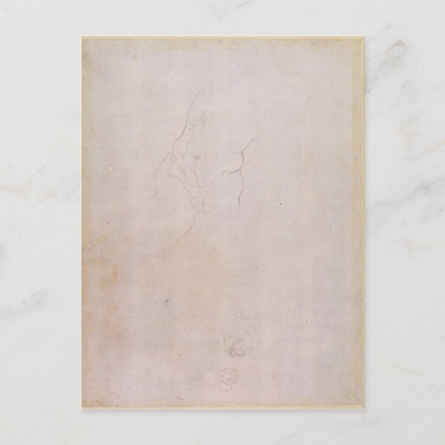 Carte Postale Étude d'un torse mâle (Devant)