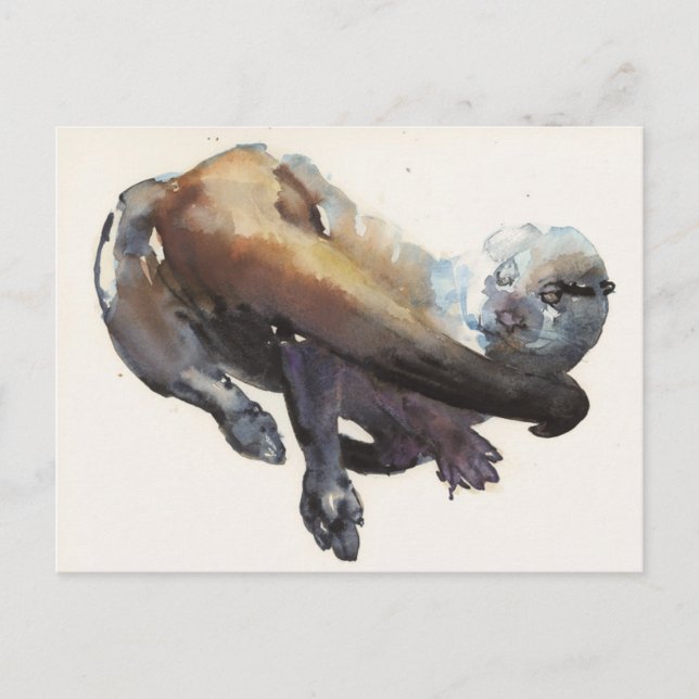 Carte Postale Étude Otter I - 'Talisker' (Devant)