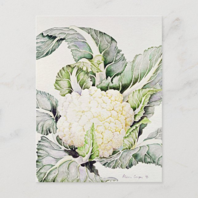 Carte Postale Étude sur le chou-fleur 1993 (Devant)