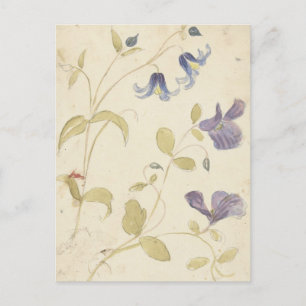 Carte Postale Études de fleurs violettes et bleues par Nijmegen