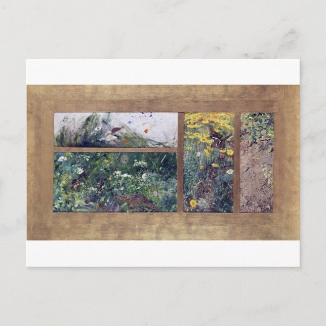 Carte Postale Études d'oiseaux, Bruno Liljefors (Devant)