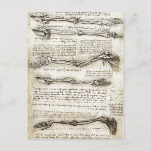 Carte Postale Études du bras montrant les mouvements effectués p