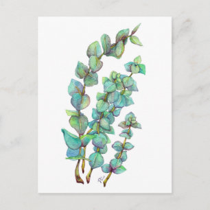 Carte Postale Eucalyptus 02