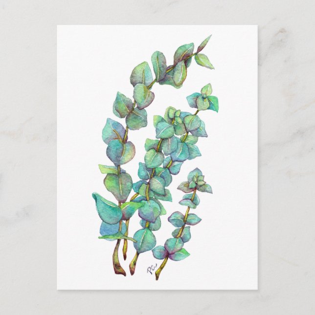 Carte Postale Eucalyptus 02 (Devant)