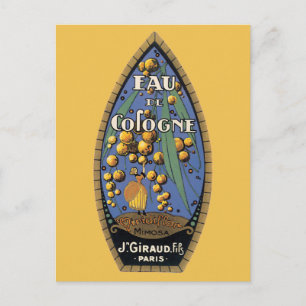 Carte Postale Eud De Cologne Mimosa