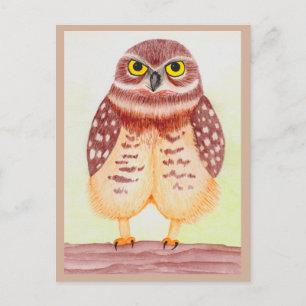 Carte Postale Eule Postkarte