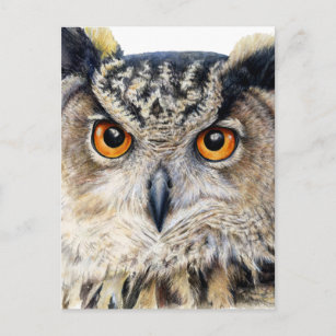 Carte postale Eurasian Eagle Owl fine art