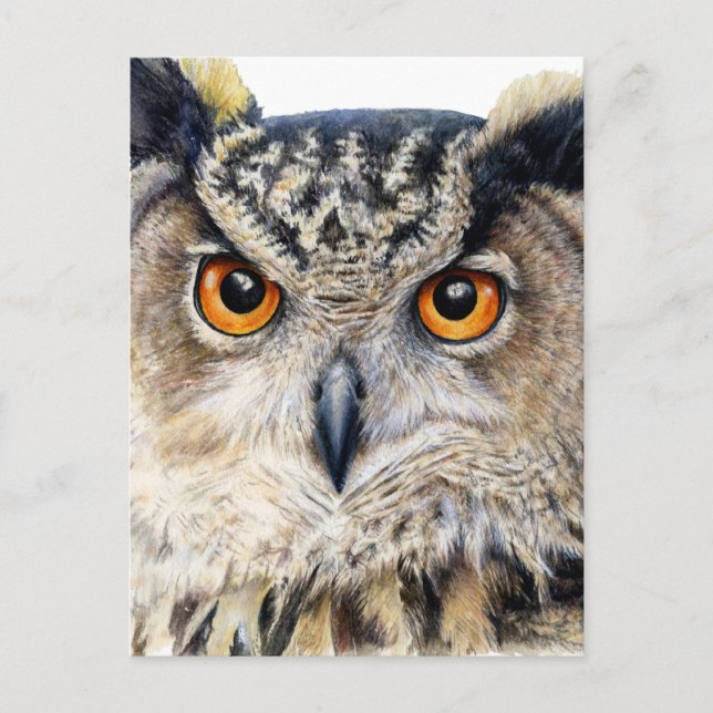 Carte postale Eurasian Eagle Owl fine art (Devant)