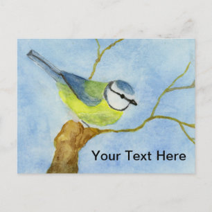 Carte Postale Eurasion Blue Tit