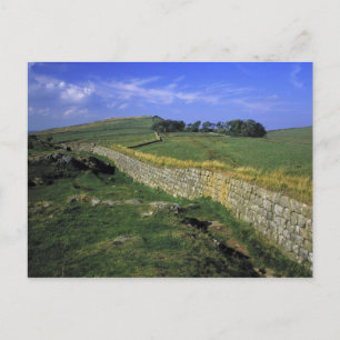 Carte Postale Europe, Angleterre, mur d'Hadrien. Les pierres de