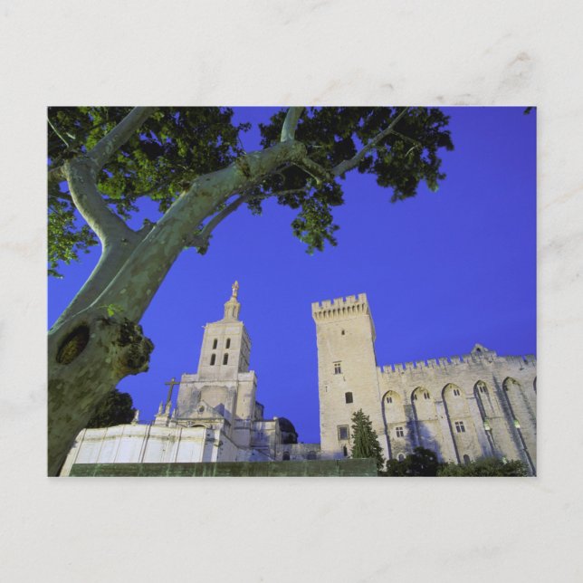 Carte Postale Europe, France, Provence, Vaucluse, Avignon. (Devant)