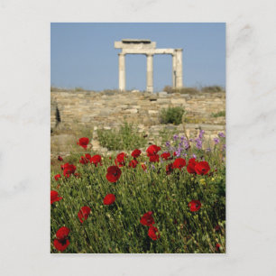 Carte Postale Europe, Grèce, Cyclades, Delos. Ruines de colonne.