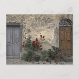 Carte Postale Europe, Italie, Toscane, Chianti, porteuse toscane