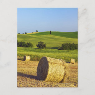 Carte Postale Europe, Italie, Toscane, Val d'Orcia, Pienza -