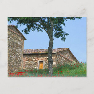 Carte Postale Europe, Italie, Toscane, villa abandonné dans