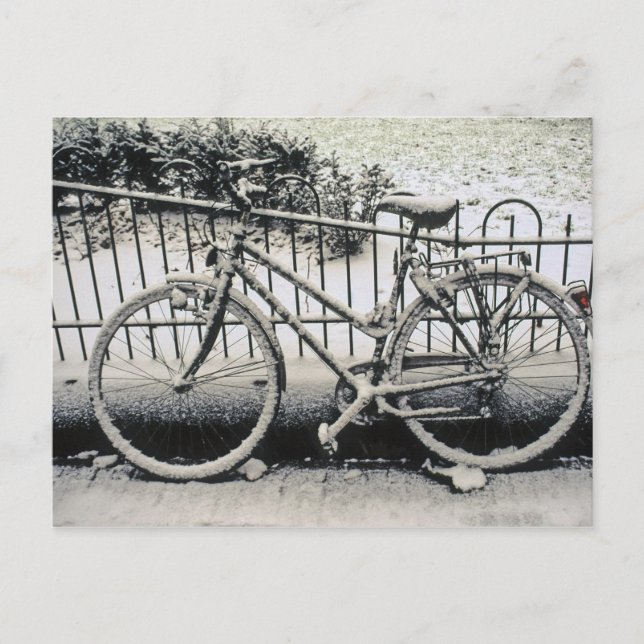 Carte Postale Europe, Les Pays-Bas, Amsterdam. A (Devant)