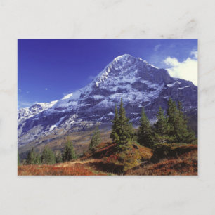 Carte Postale Europe, Suisse, Eiger. Les couleurs d'automne abon