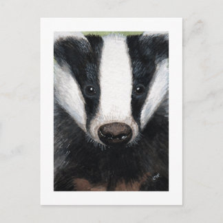 Carte postale européenne Badger Portrait Peinture