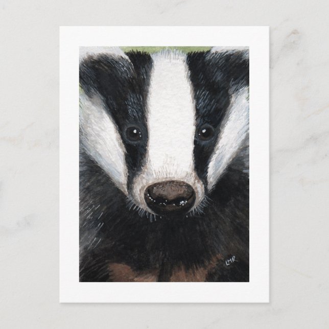 Carte postale européenne Badger Portrait Peinture (Devant)
