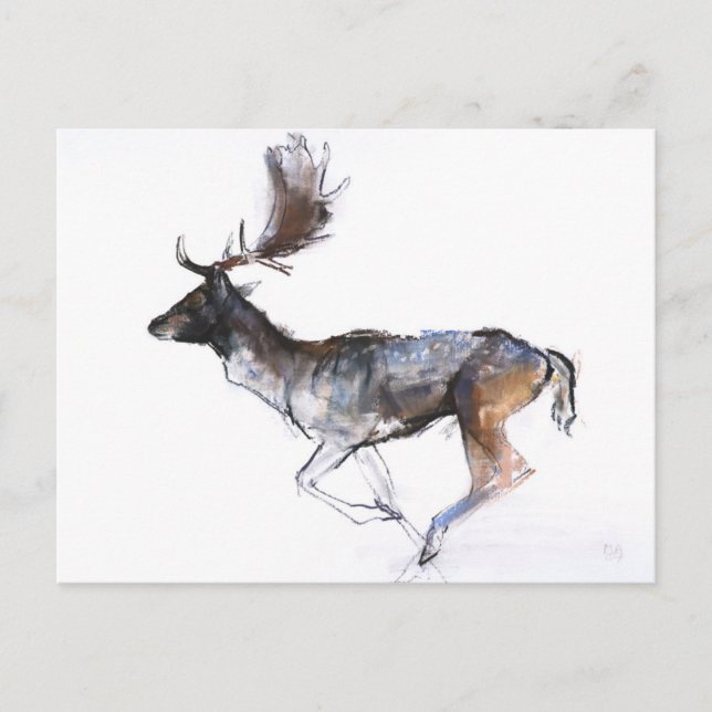 Carte Postale Evening Buck (Devant)