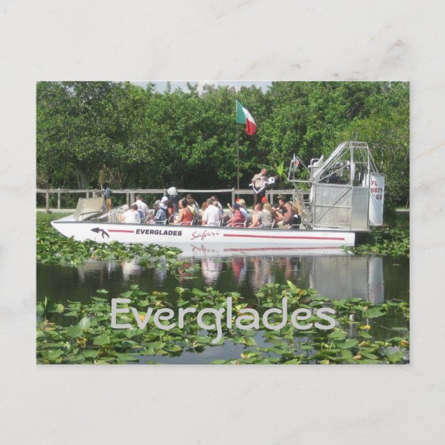 Carte Postale Everglades (Devant)