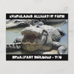 Carte Postale Everglades Alligator Farm - petit-déjeuner inclus 