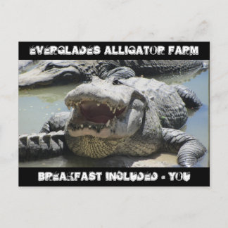 Carte Postale Everglades Alligator Farm - petit-déjeuner inclus
