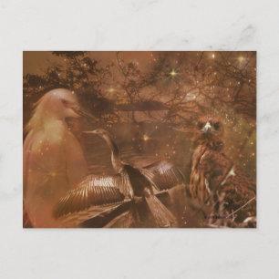 Carte Postale Everglades - Parc national en Floride