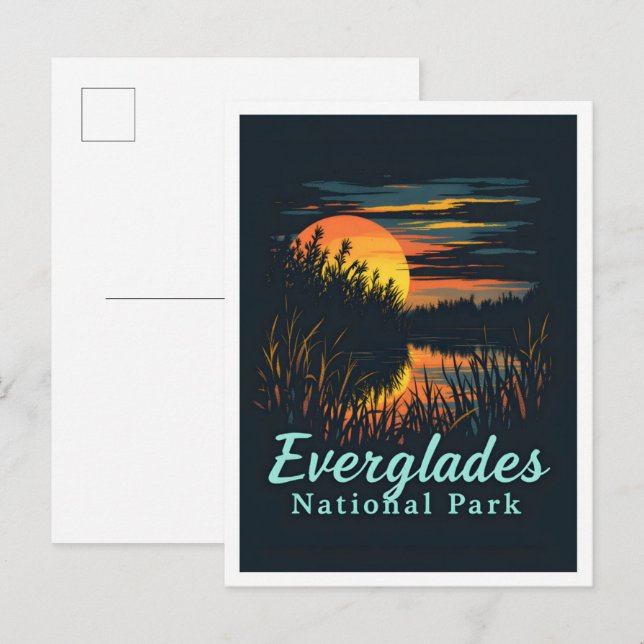 Carte Postale Everglades Parc National Floride Voyage (Devant / Derrière)
