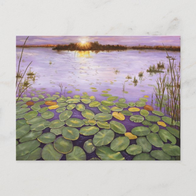 Carte Postale Everglades Soirée (Devant)