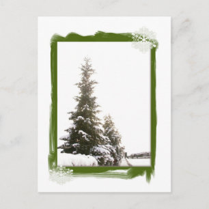 Carte Postale Evergreens d'hiver do-it-yourself