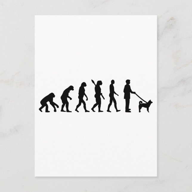Carte Postale Évolution Akita (Devant)