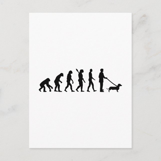 Carte Postale Evolution Dachshund (Devant)