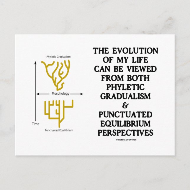 Carte Postale Évolution De Ma Vie Phyltc Grdlism Punctd Equlbra (Devant)