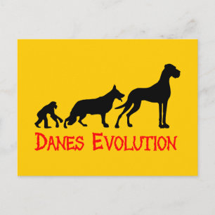 Carte Postale Évolution des Danois