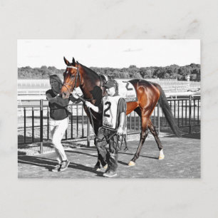 Carte Postale Exagérateur