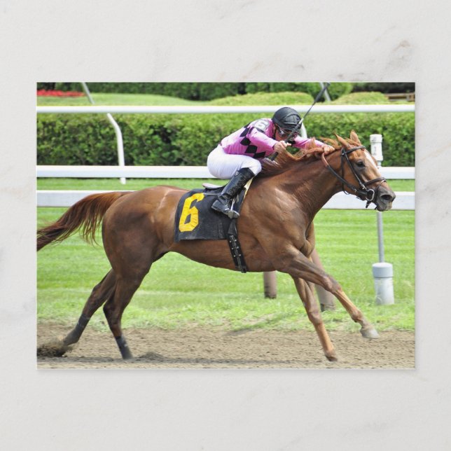 Carte Postale Examen du livre (Devant)