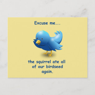 Carte Postale Excusez-moi...L'écureuil a mangé tous nos oiseaux