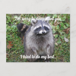 Carte Postale Excusez-moi Raccoon