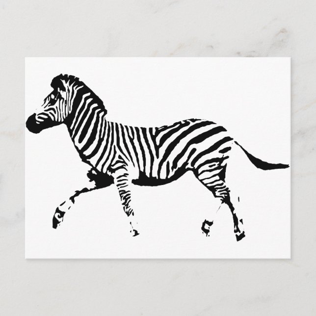 Carte Postale Exécution de Zebra (Devant)