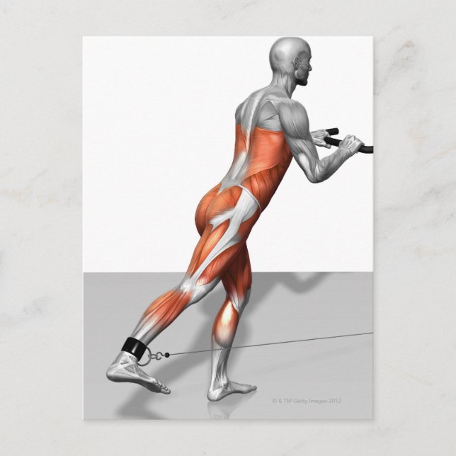 Carte Postale Exercice de patinage par câble (Devant)