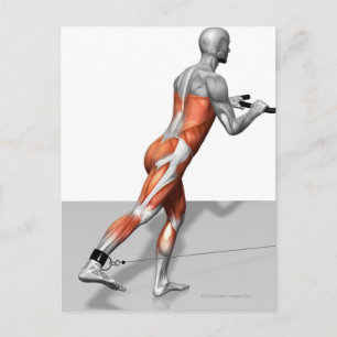 Carte Postale Exercice de patinage par câble