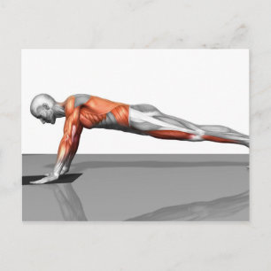 Carte Postale Exercice de vol de serviettes