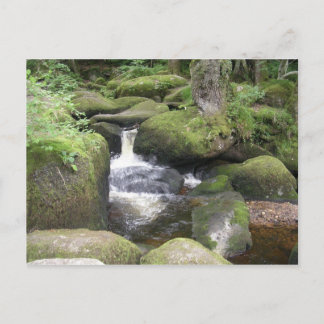 Carte Postale exeter 2009 105