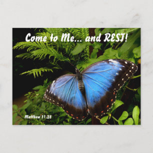 Carte Postale Exotic blue butterfly 2