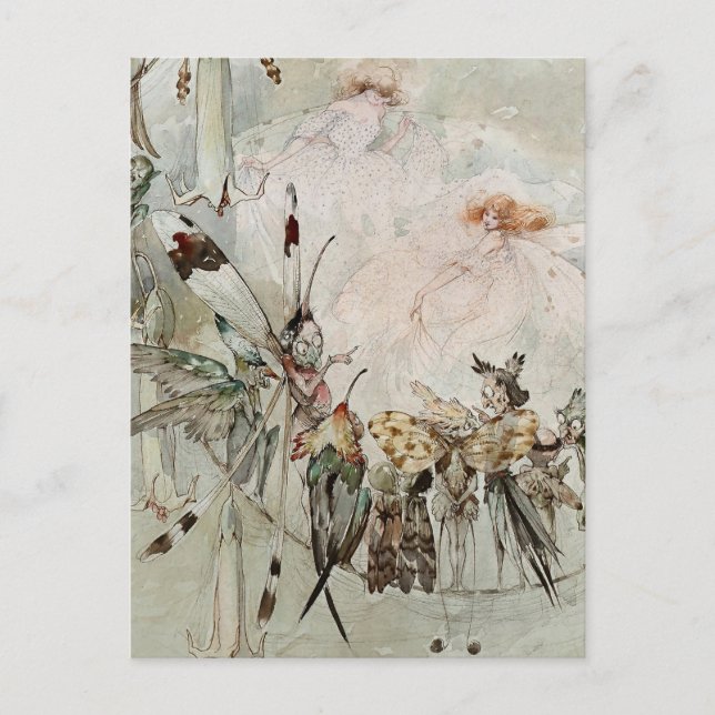 Carte Postale « Exotics à l'œuvre » par A Duncan Carse (Devant)