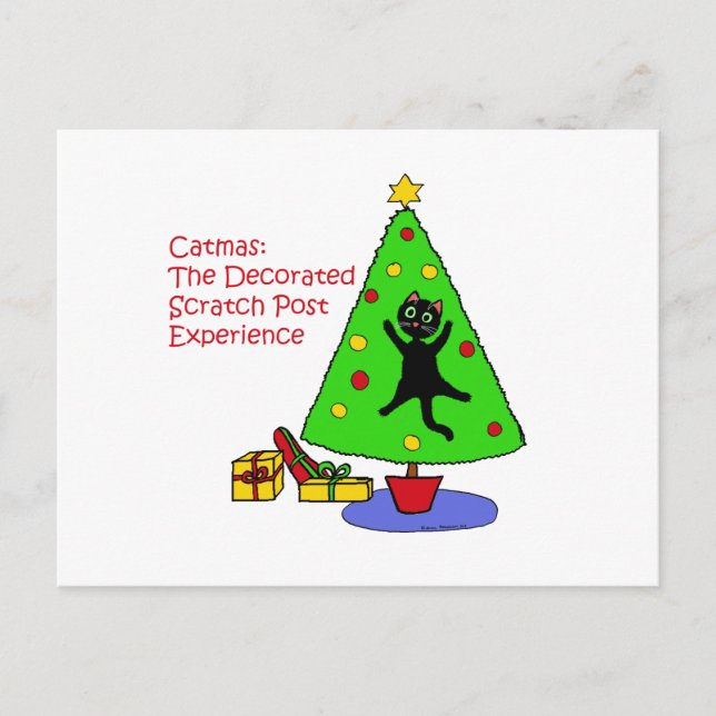 Carte Postale Expérience Catmas (Devant)